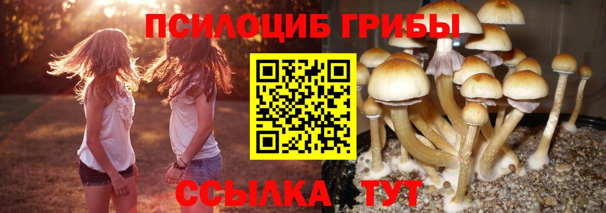 Псилоцибиновые грибы мицелий  Вход с VPN  Тельмана 