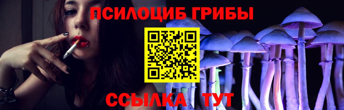 Псилоцибиновые грибы ЛСД Тельмана
